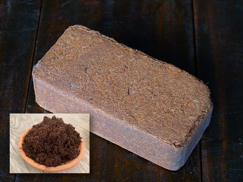 Coco Coir