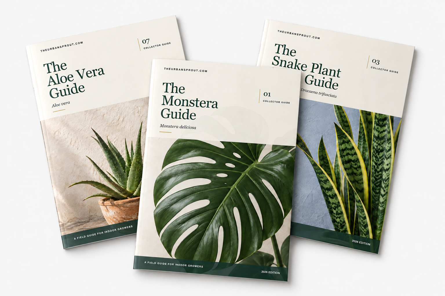 Overlapping Aloe Vera, Monstera, and Snake Plant guide covers